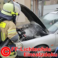 bild-5.jpg