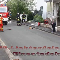 bild-2.jpg