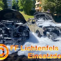 Bild-3.gif