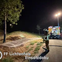 Bild_1.jpg