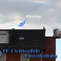 bild_1.jpg