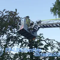 bild_5.jpg