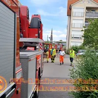 bild_1.jpg