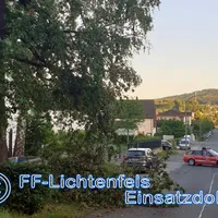 bild_1.jpg