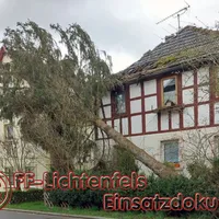 bild_1.jpg
