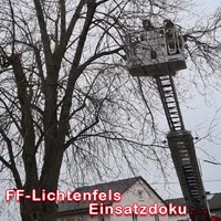 bild_2.jpg