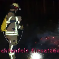 bild_3.jpg