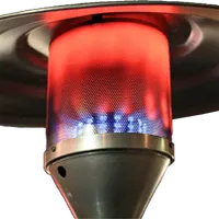 gaspilz-2.png