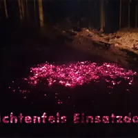 bild_1.jpg