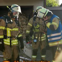 bild-3.jpg